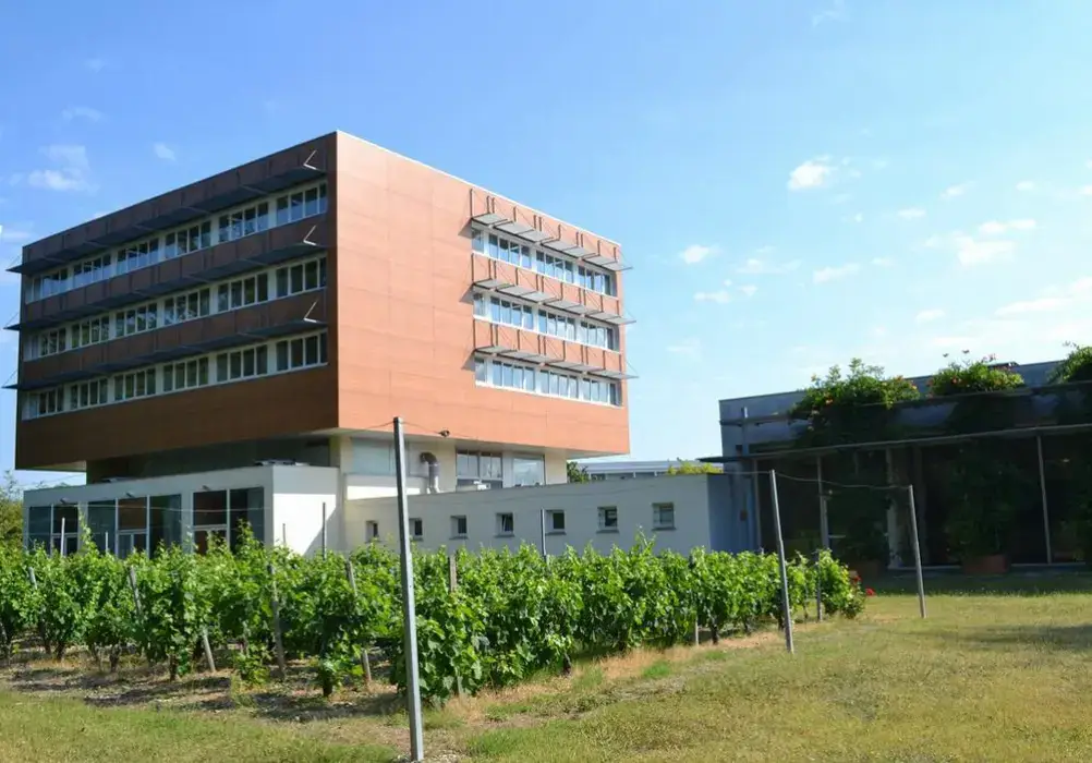 Hôtel de Guyenne 4