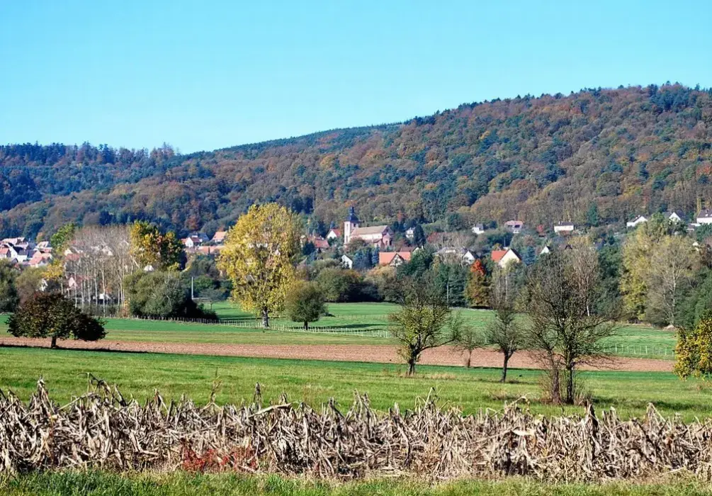 Hôtel Restaurant Kleiber 4