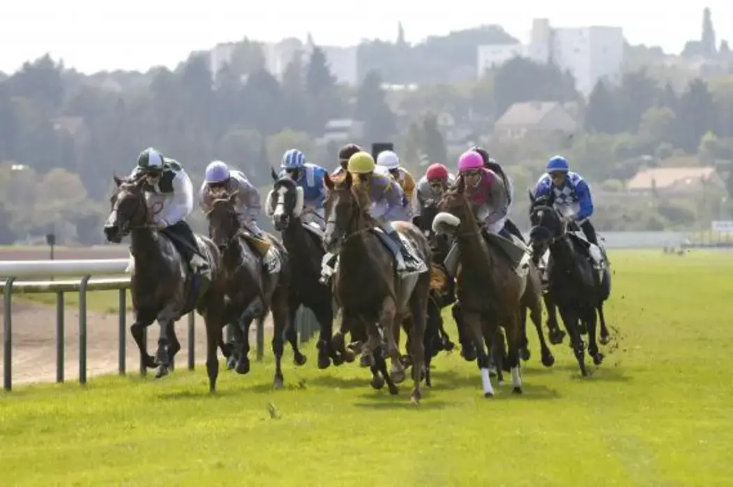 Hippodrome de Bellerive 4