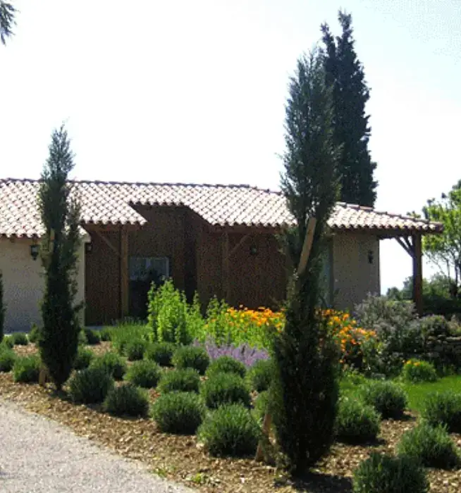 Le Moulin à Vent 4