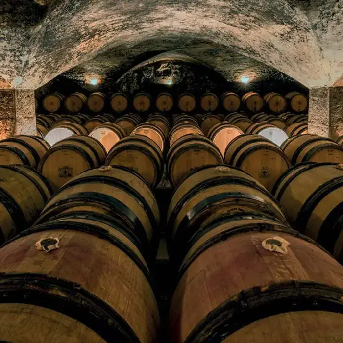 Château de Meursault 6