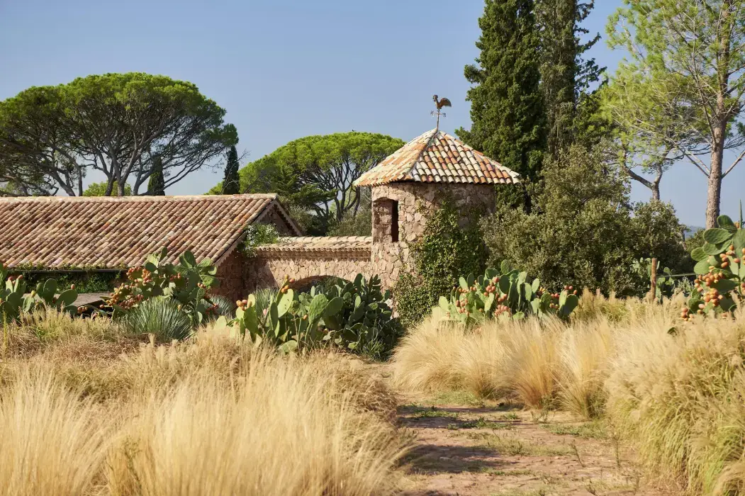 Château Saint-Roux 11