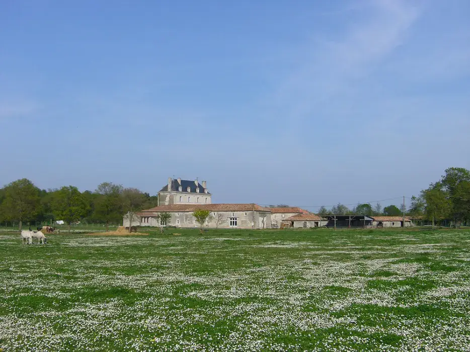 Château de La Bône 7