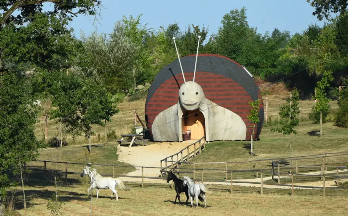 Domaine de Dienné 23
