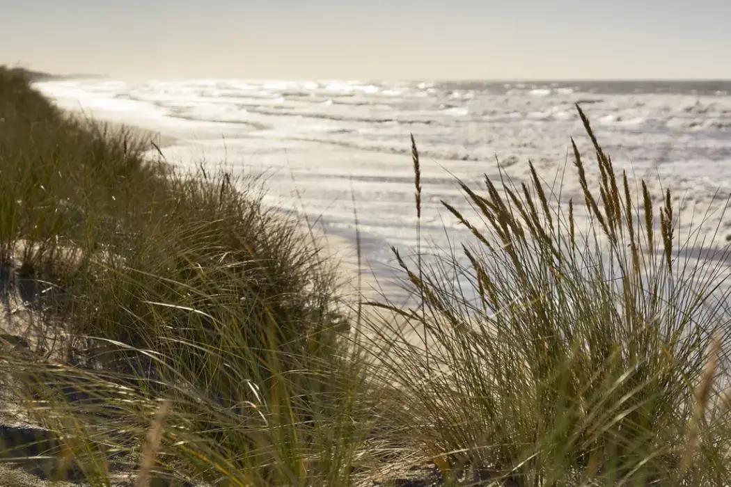 Novotel Thalassa Le Touquet 7