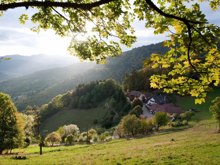 Auberge du Mehrbächel 14