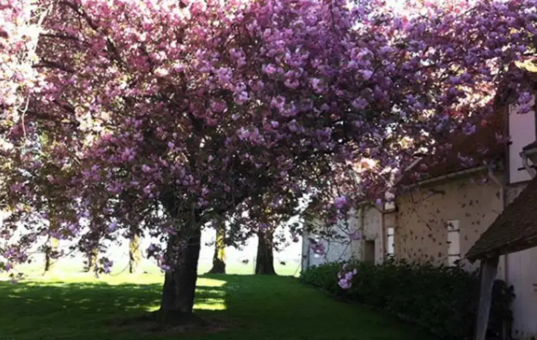Ferme de la Réthorée 5