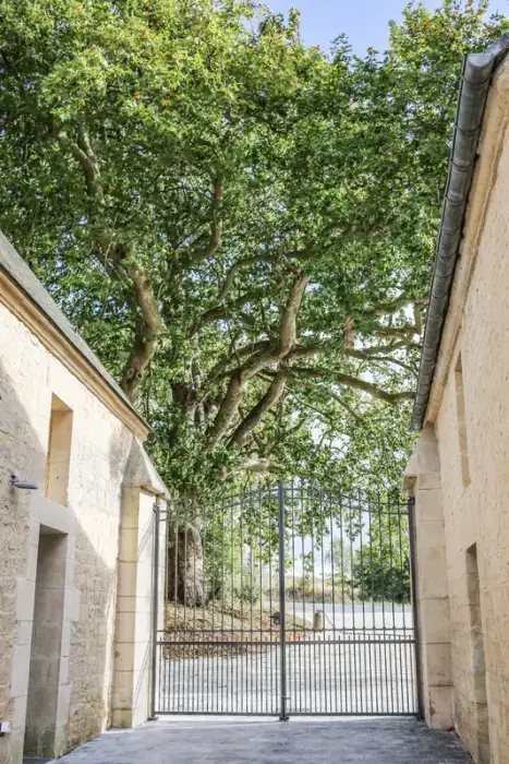 Domaine de la Cour des Lys 11
