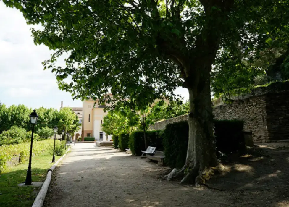 Notre Dame de Lumières 5