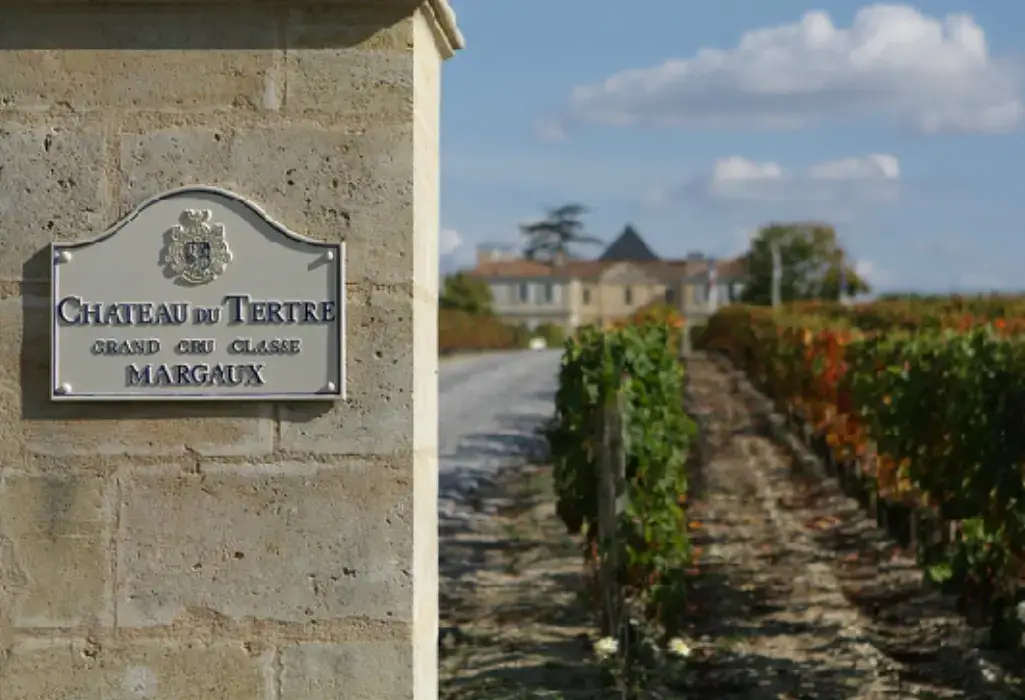 Château du Tertre 3