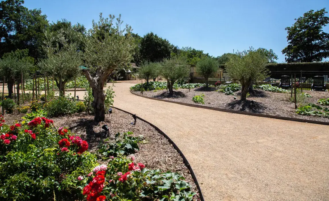 Domaine de Valbrillant 5