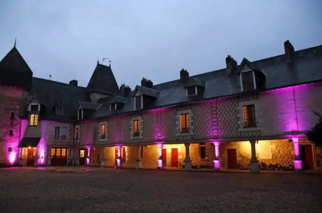 Château de la Mothe en Poitou 6