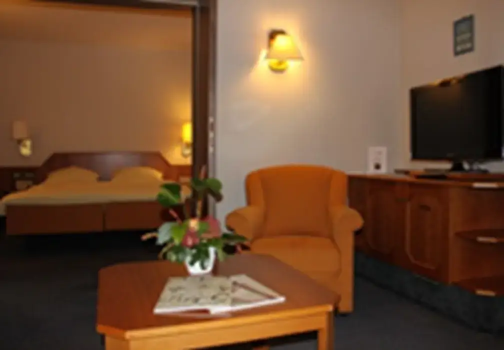 Hôtel au Boeuf 6