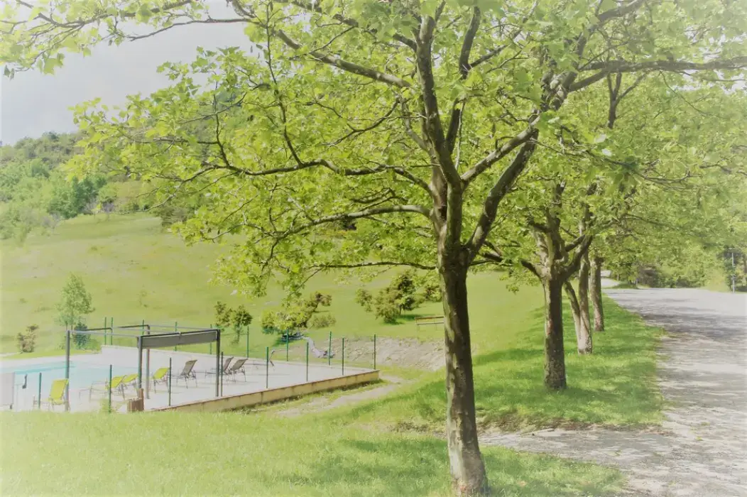 Domaine de Damian 3