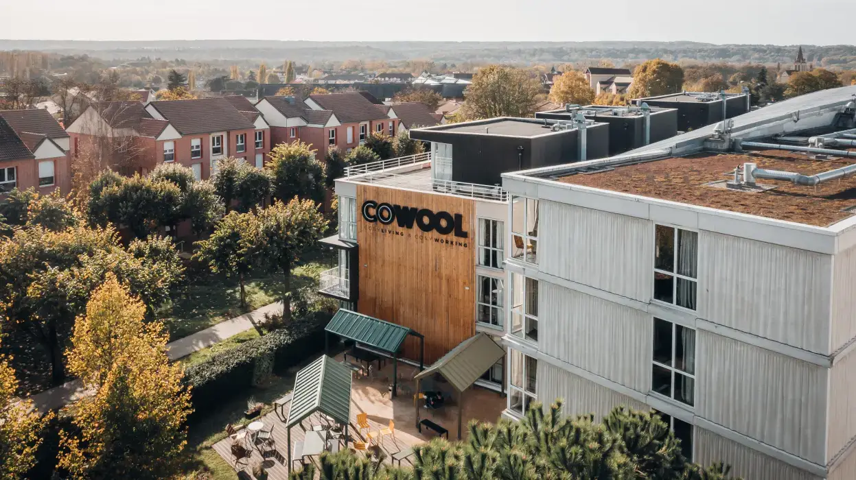 Cowool Cergy 8