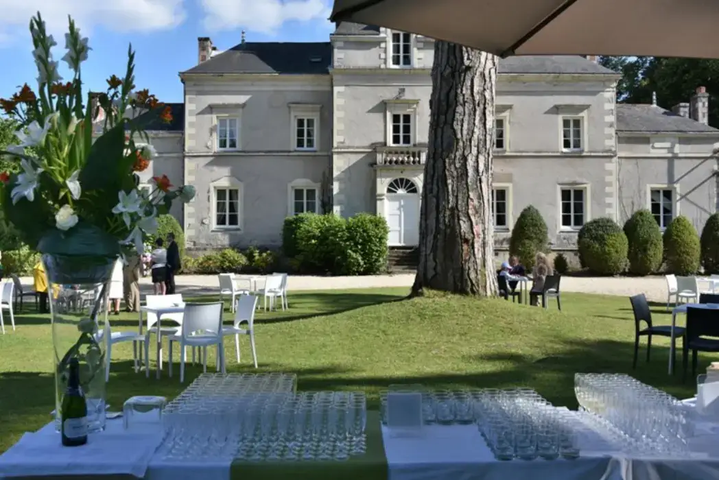 Chateau de la Pigossiere 2