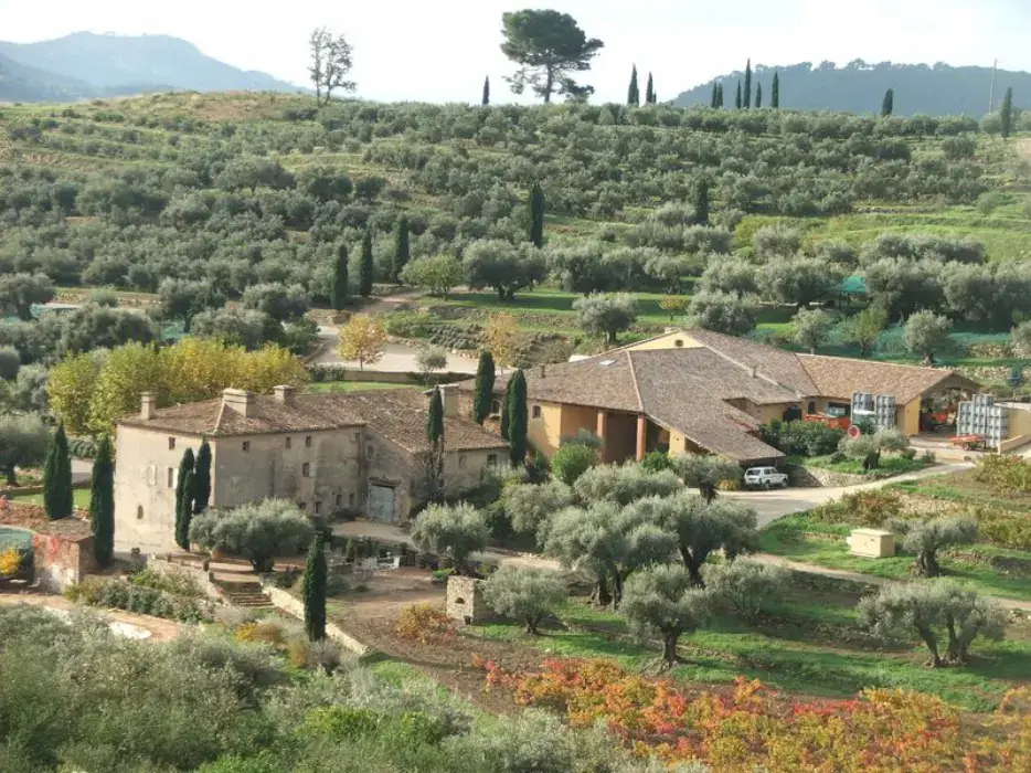 Domaine Souviou 2