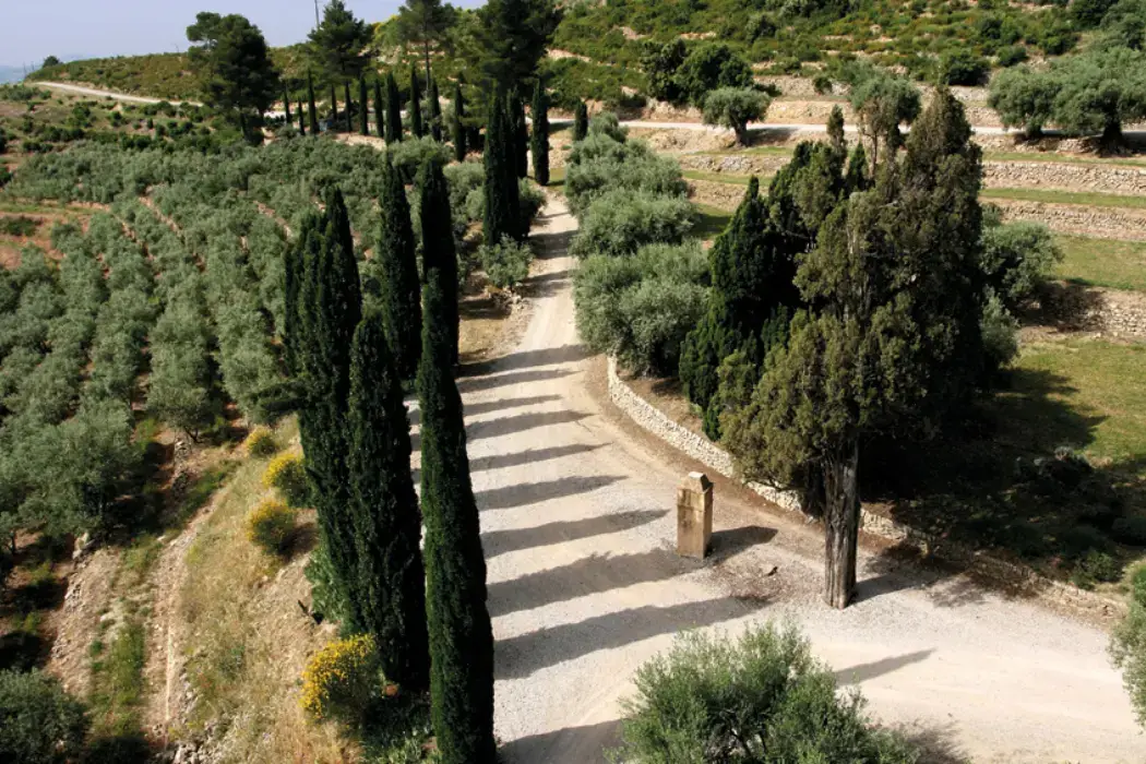 Domaine Souviou 6