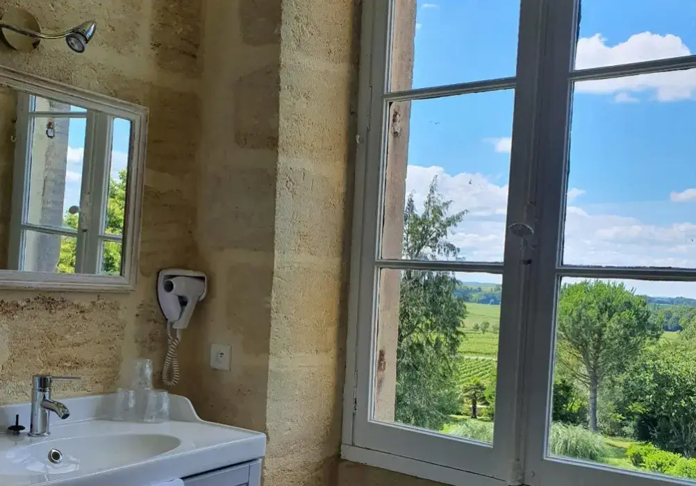 Château Fleur de Roques 6