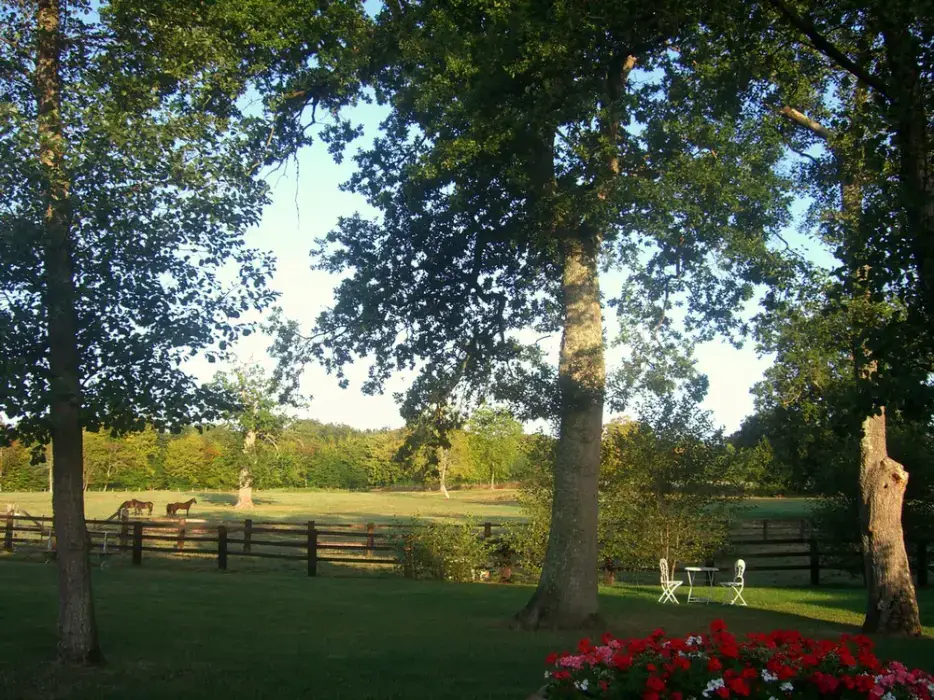 Domaine de la Tour 24