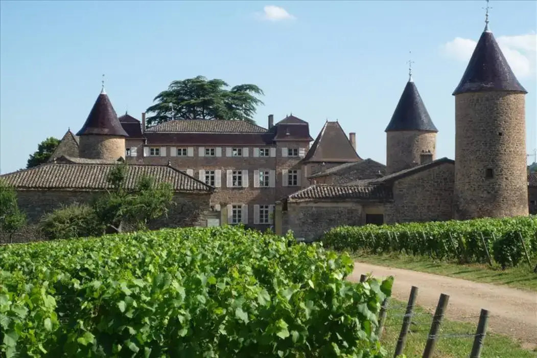 Château de Chasselas 2