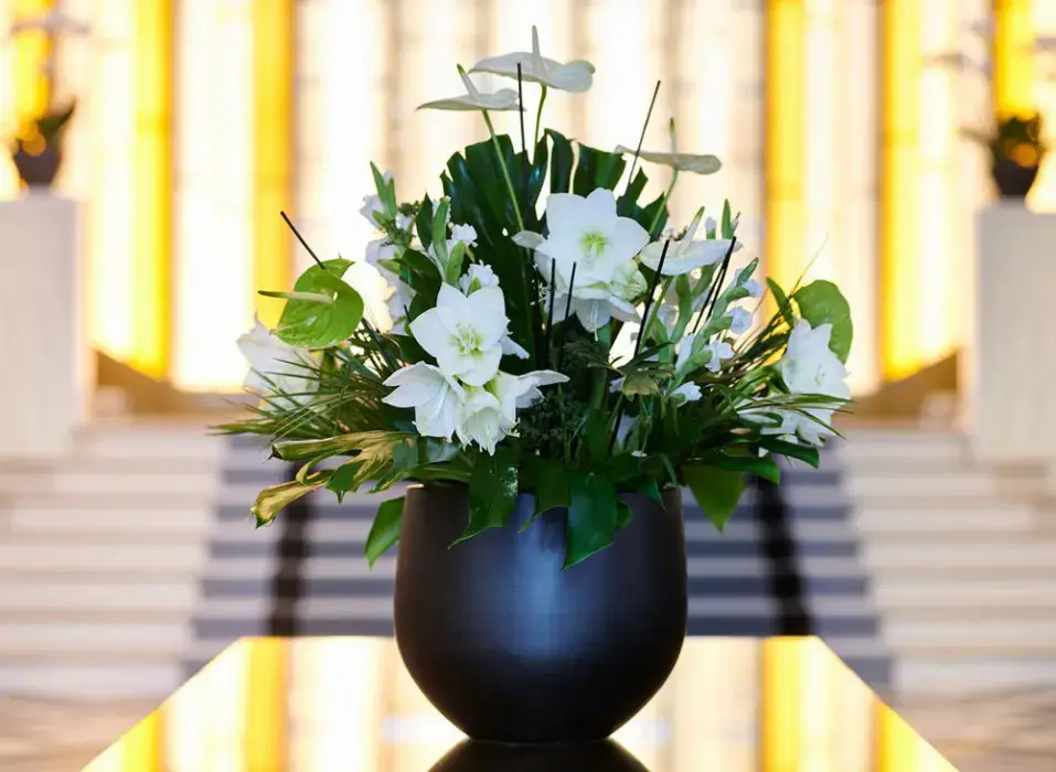 Hôtel Spa Le Splendid 3