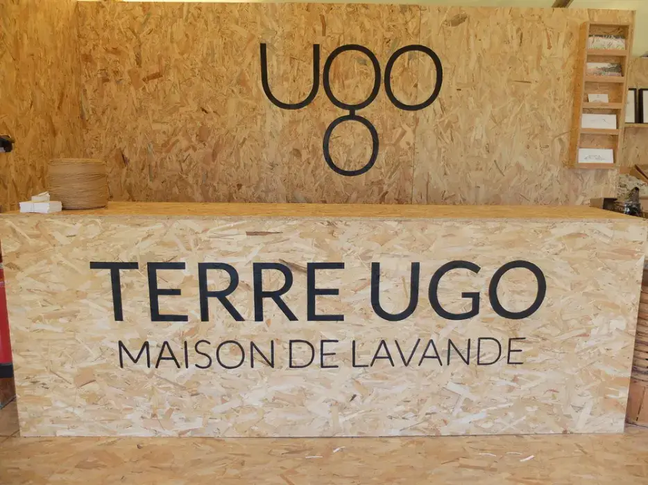 Terre Ugo 17