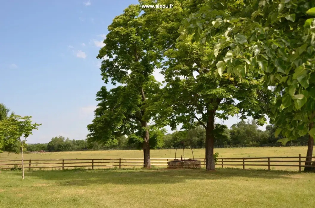 Domaine du Mas du Pont 3