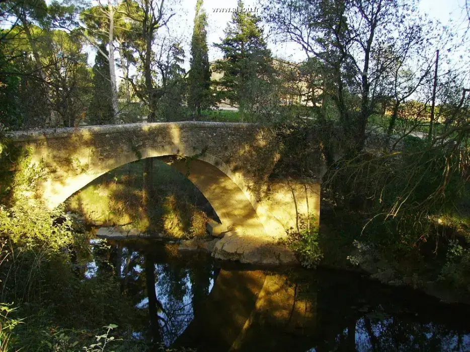 Domaine du Mas du Pont 6