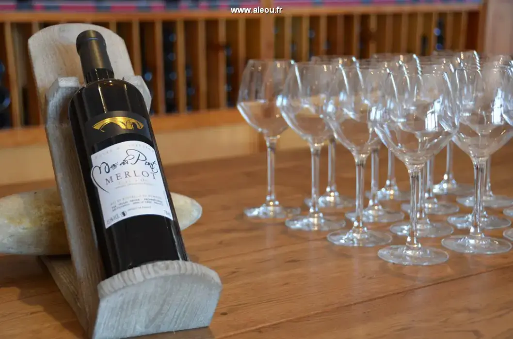 Domaine du Mas du Pont 11