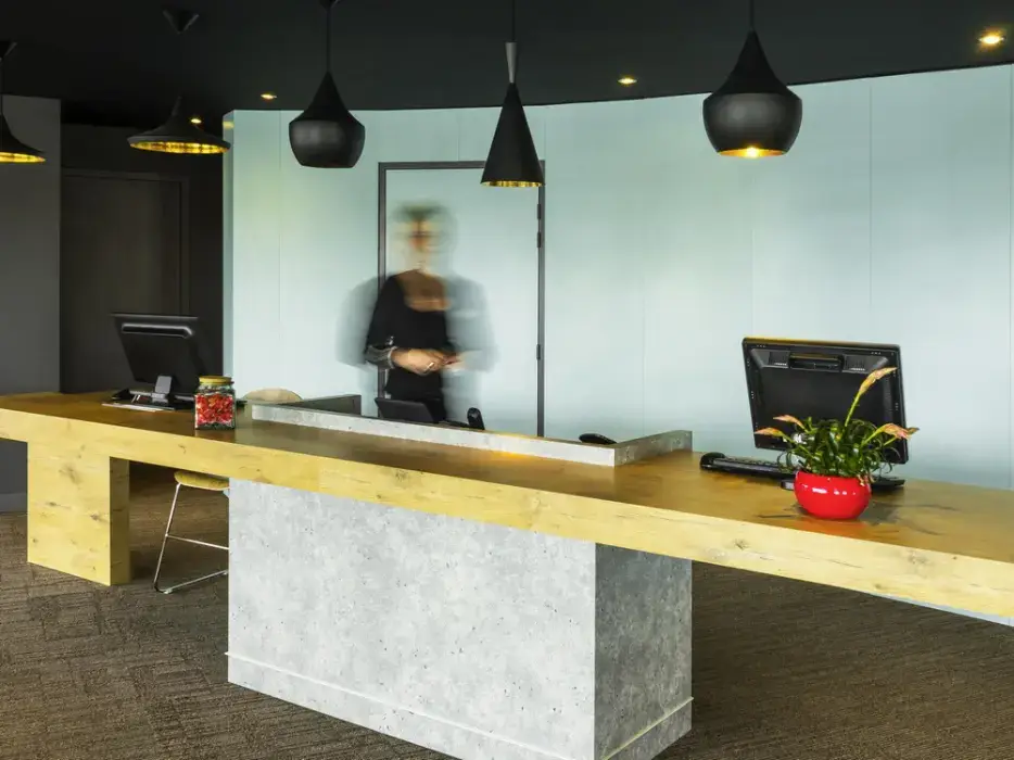 Ibis Tarbes Odos 4