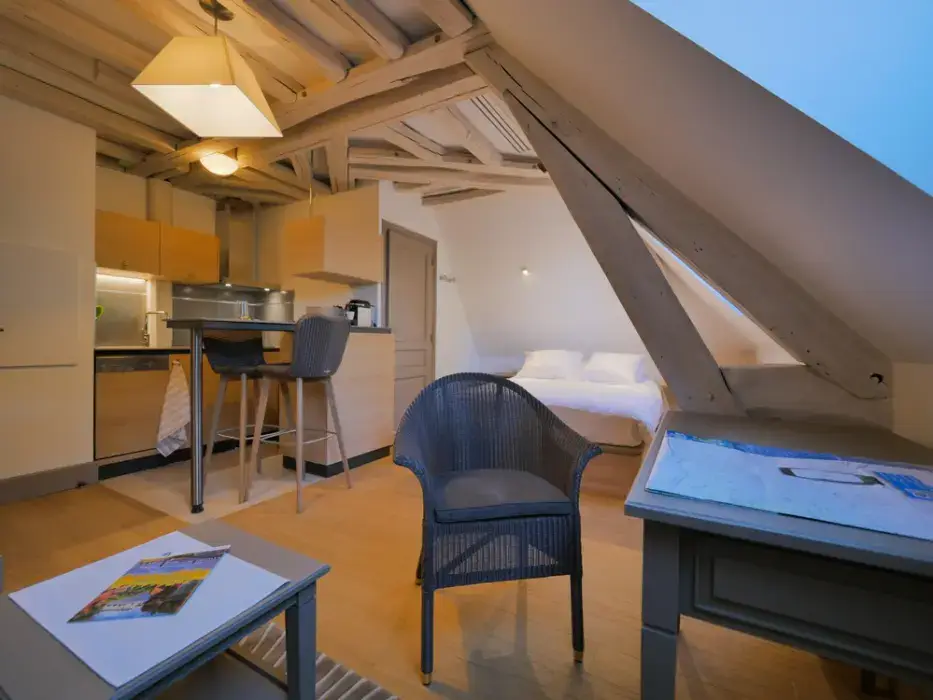 Central Parc Tours 12