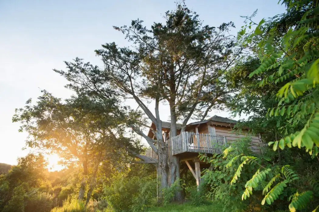 La Grée des Landes Eco-Hôtel Spa Yves Rocher 5