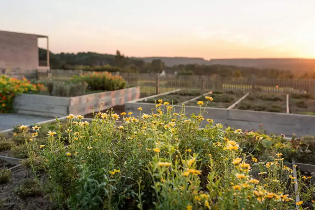 La Grée des Landes Eco-Hôtel Spa Yves Rocher 8