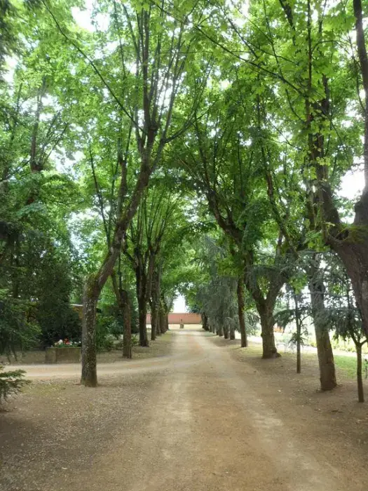Château de La Chapelle Des Bois 3