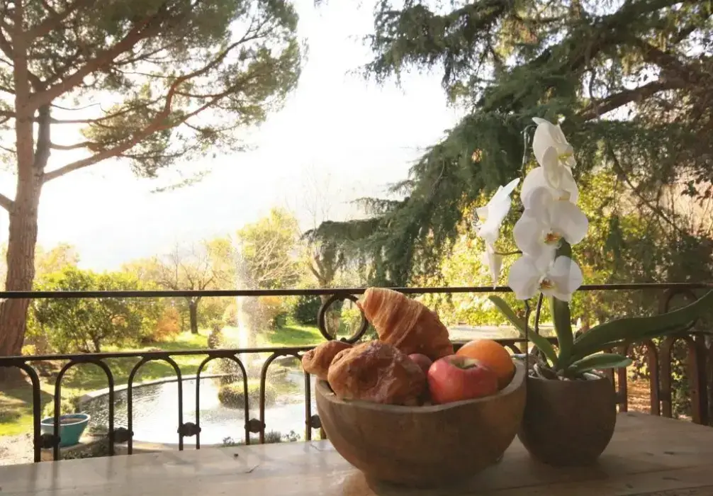 Domaine du Riodam 6