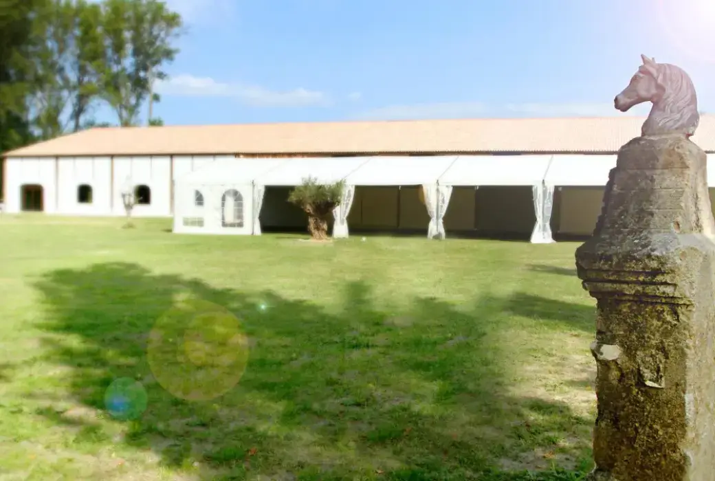 Domaine Hasta Luego 2