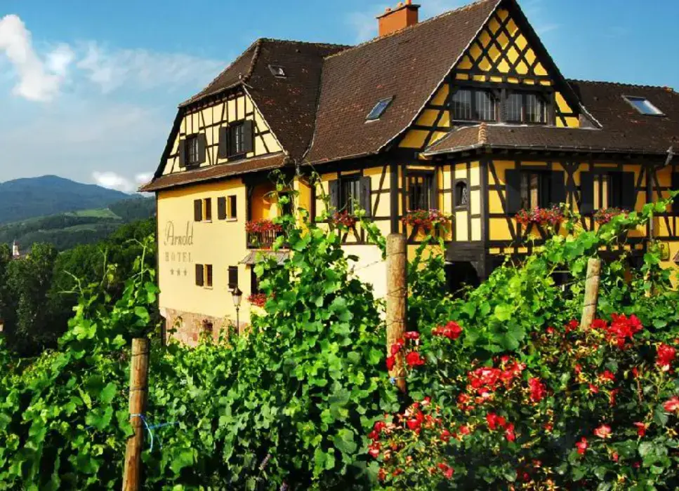 Hôtel Arnold 7