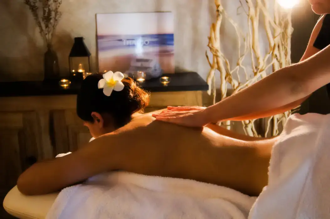 Le Manoir des Impressionnistes SPA 19