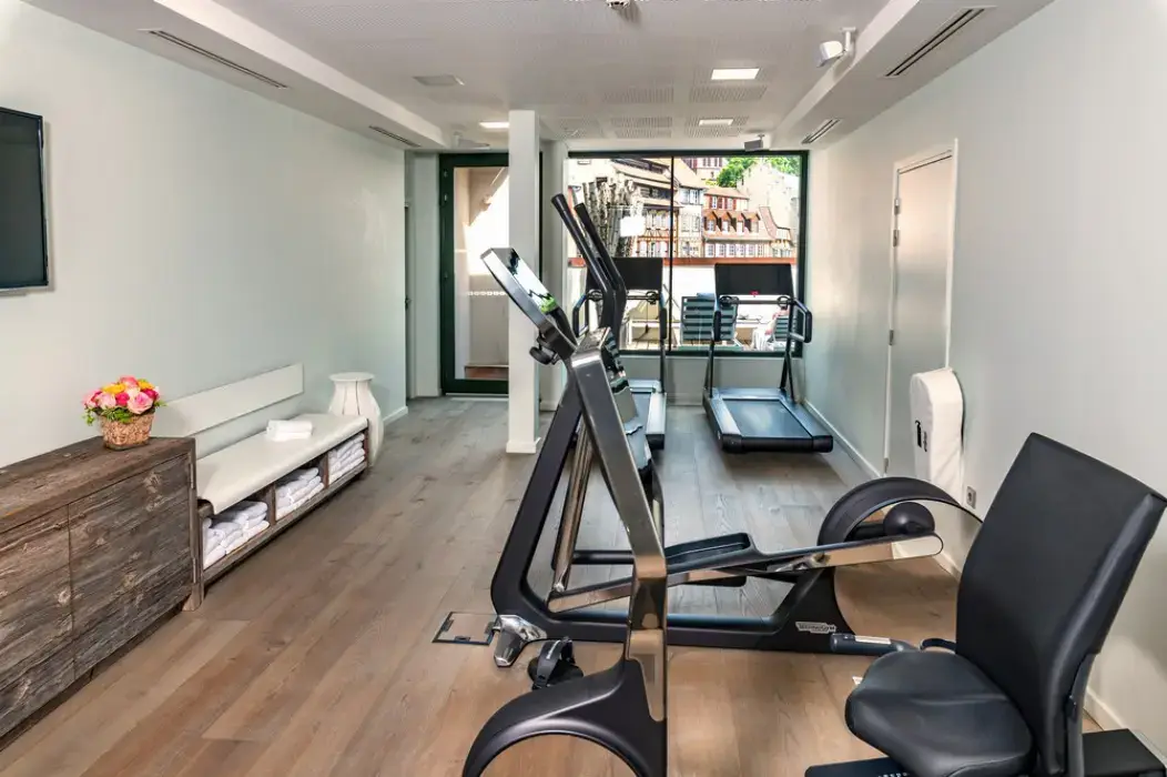 Hôtel et Spa Régent Petite France 13
