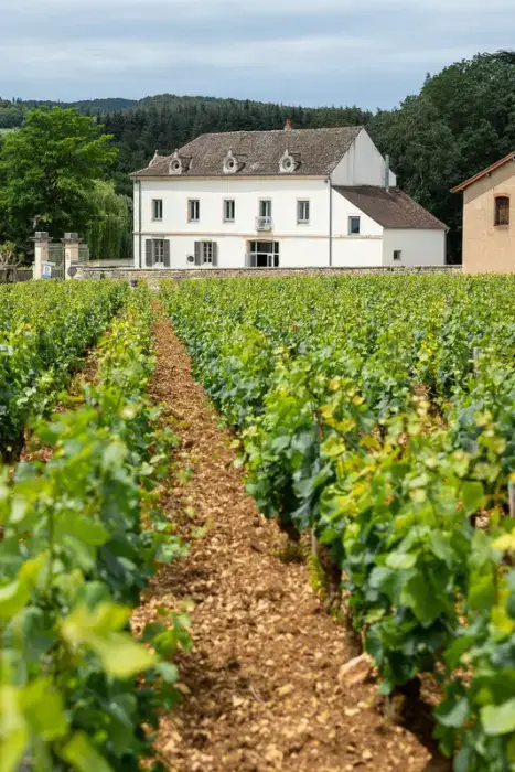 Château de Garnerot 7