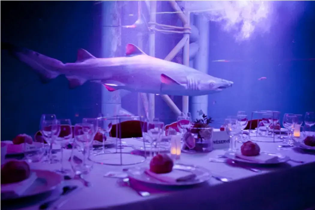 Grand Aquarium Saint-Malo 3
