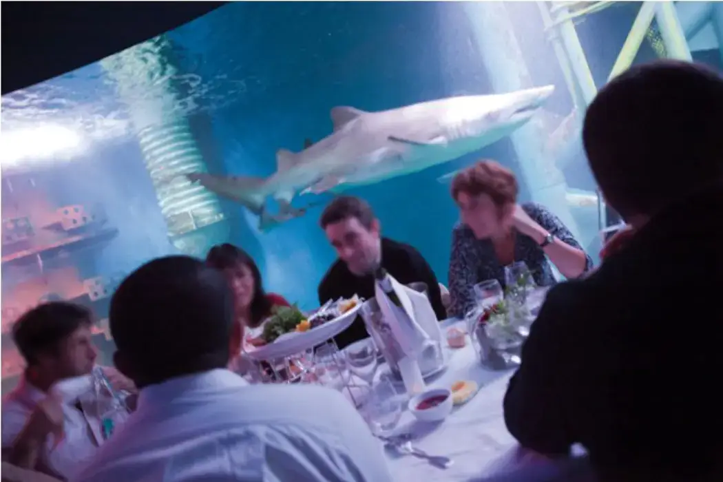Grand Aquarium Saint-Malo 5