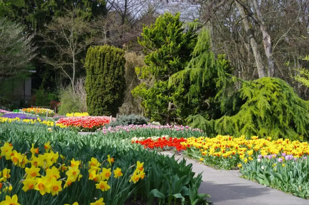 Parc Zoologique et Botanique de Mulhouse 4