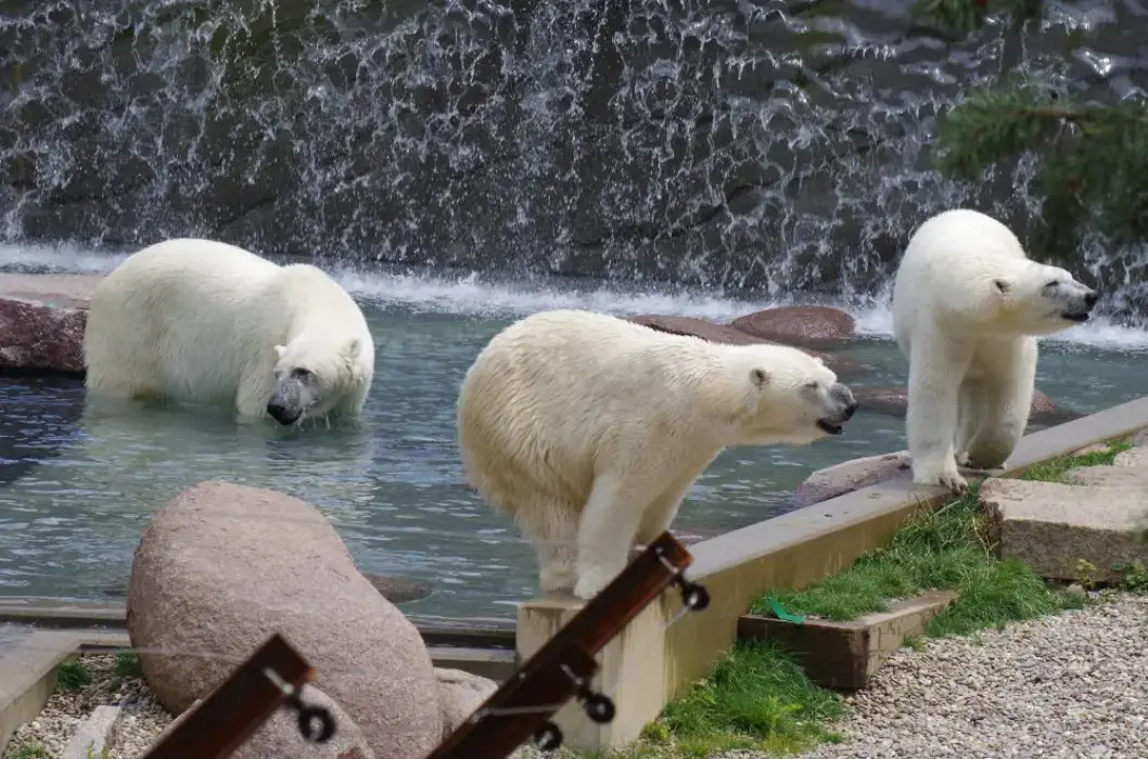 Parc Zoologique et Botanique de Mulhouse 5