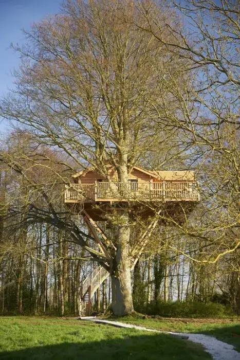 Château d'Audrieu 9