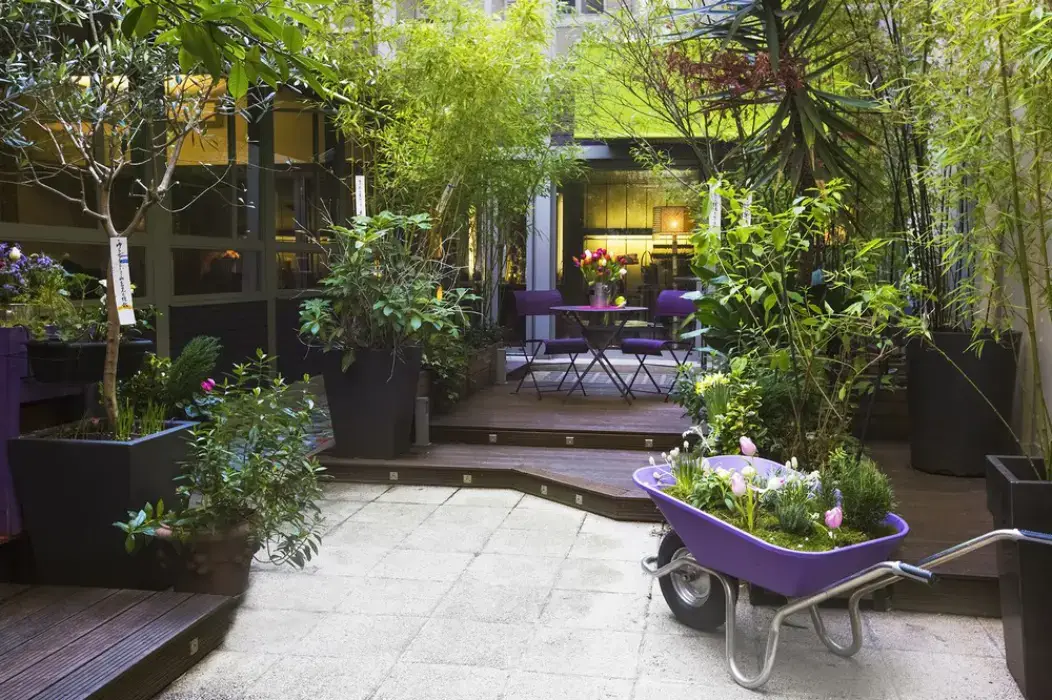 Villa Violet 7