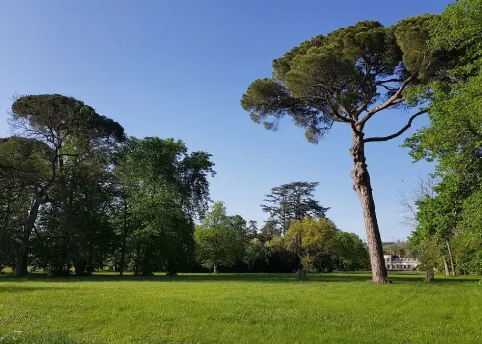 Château Saint-Denis 11