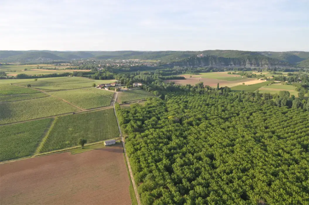 Château les Bouysses 5