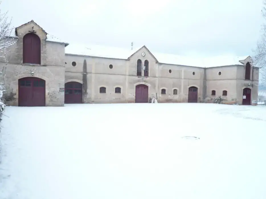 Château les Bouysses 7